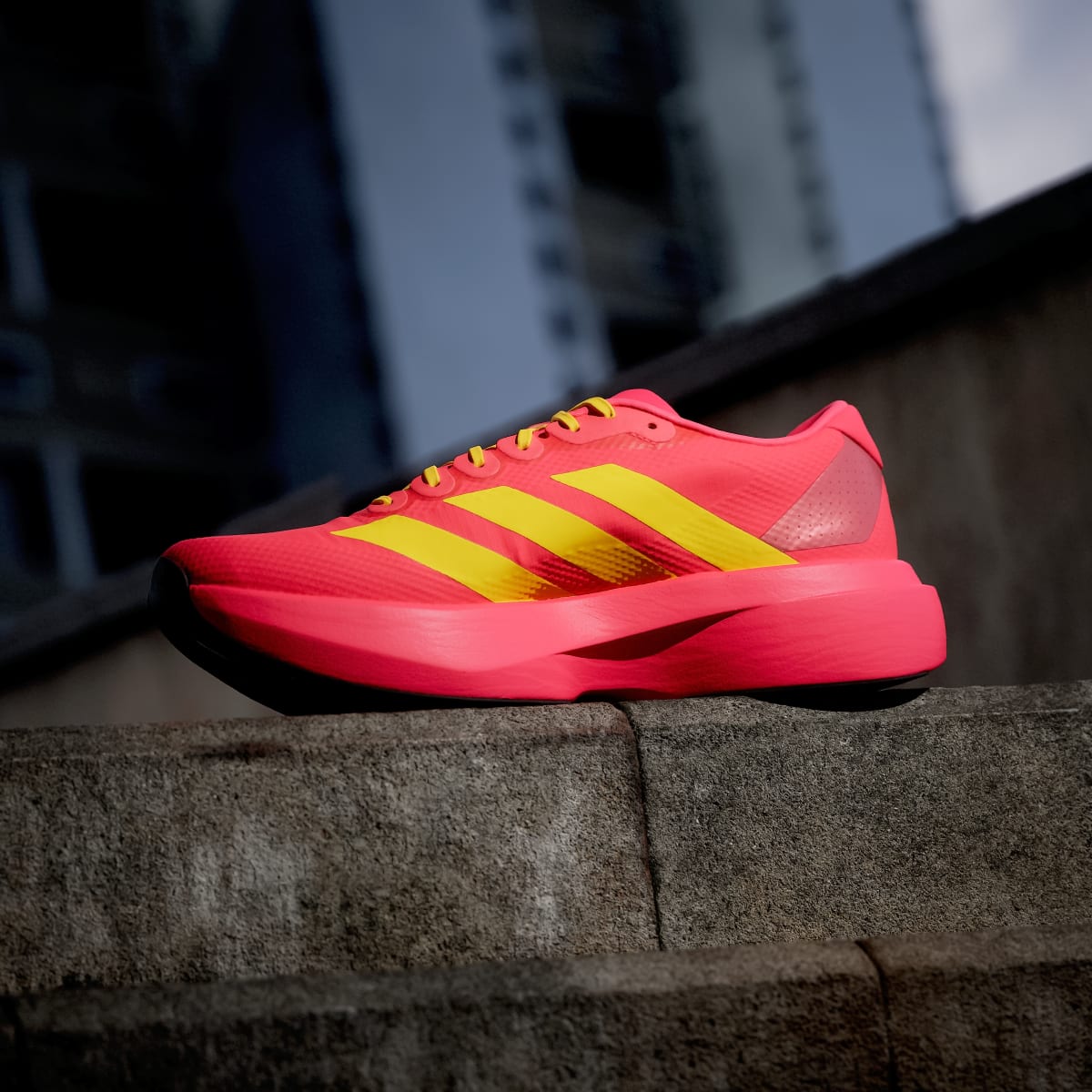 Tênis Adidas Adizero EVO SL Masculino — Lucid Red — imagem 6